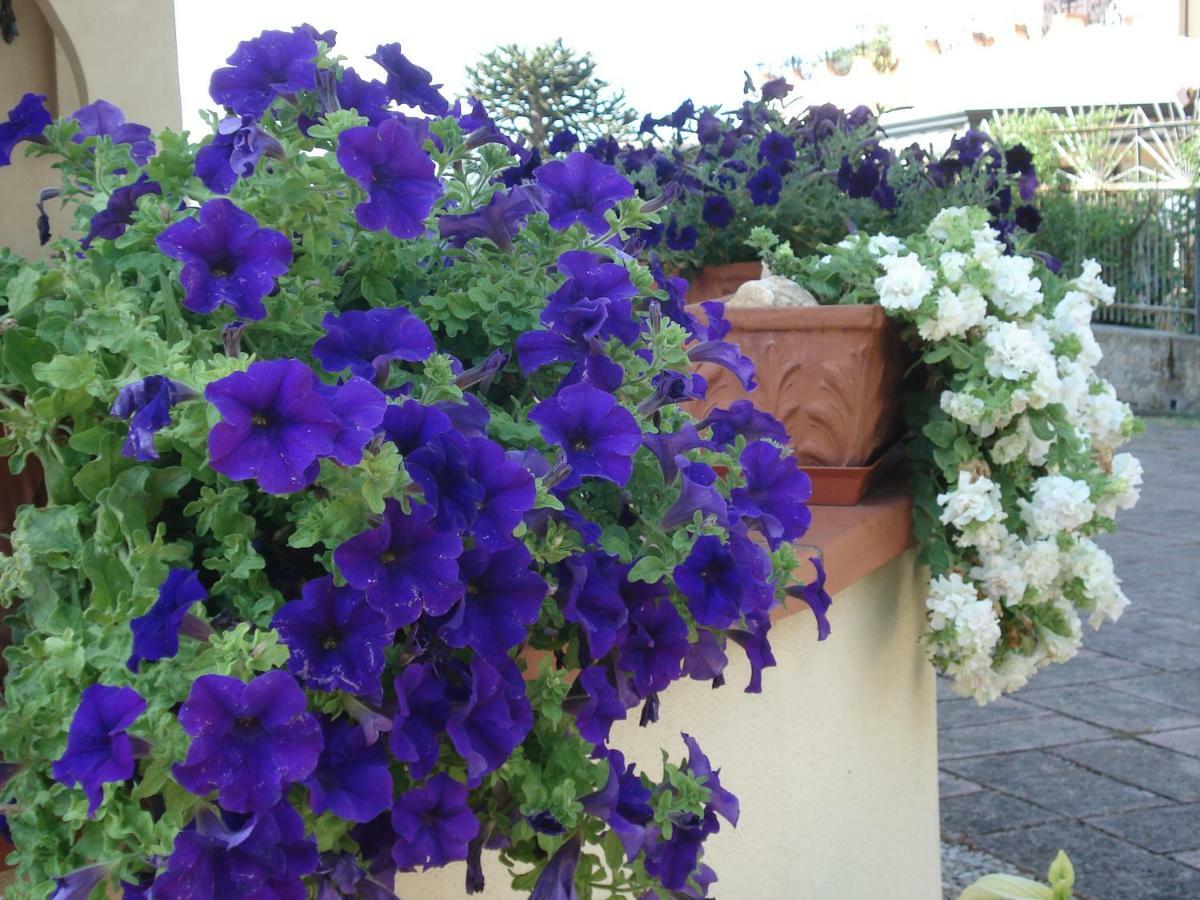 Bed and Breakfast Globetrotter Formia Exteriér fotografie
